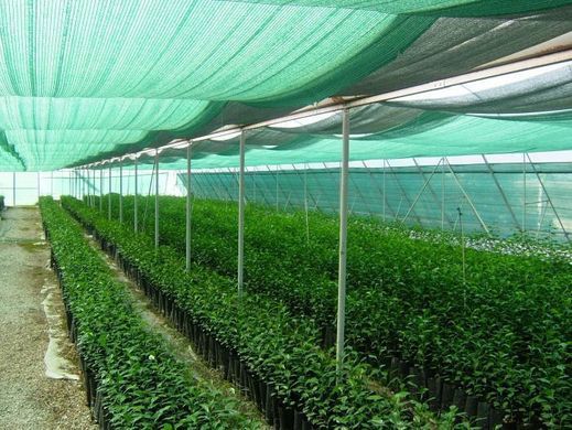 Сітка затіняюча 45 %, рулон 3х100 м